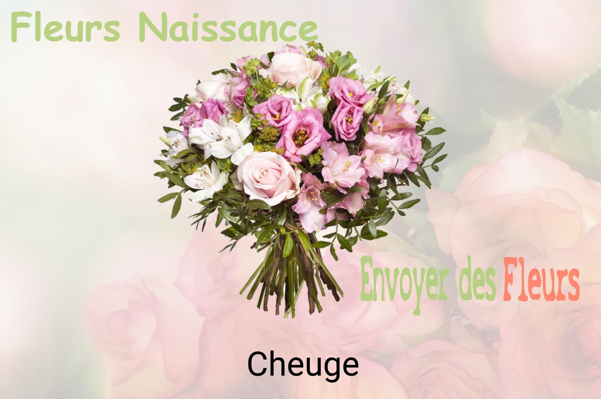 Bouquet de fleurs de naissance livré à Cheuge